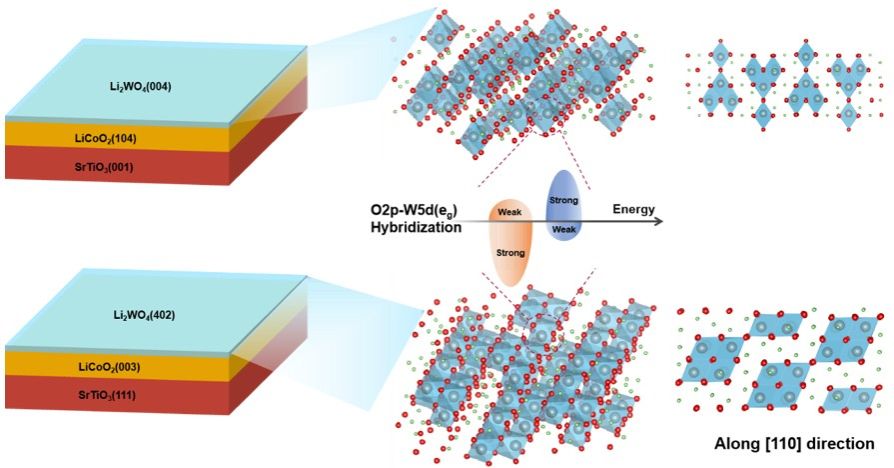 20240801-12.jpg 20240801-12.jpg